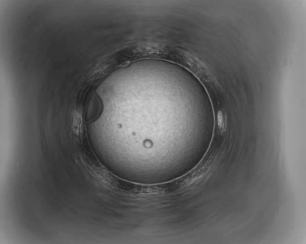 X0000116311203200912071301