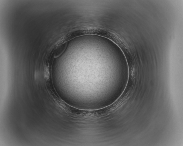 X0000116311204200912071301