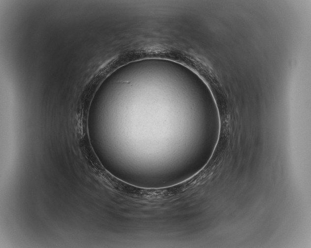 X0000116311205200912071301