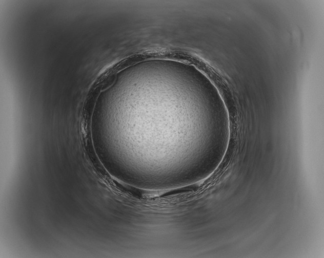 X0000116311206200912071301