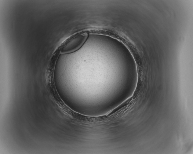 X0000116311208200912071302