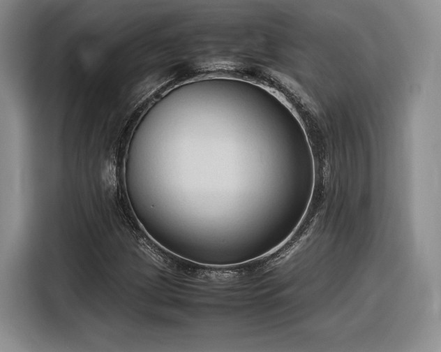 X0000116311209200912071302