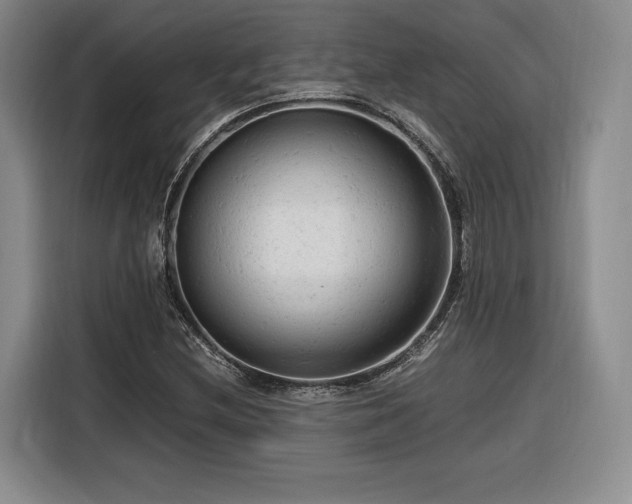 X0000116311212200912071302