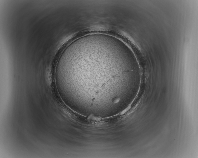 X0000116311213200912071302