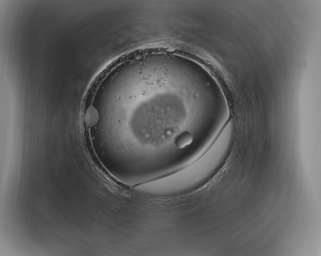 X0000116311216200912071302