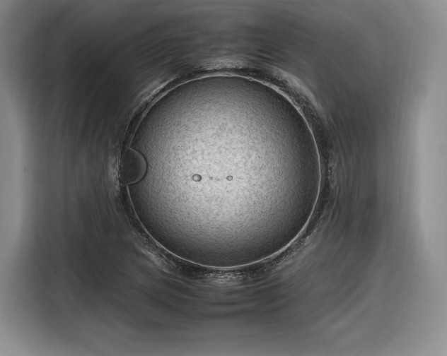 X0000116311217200912071302