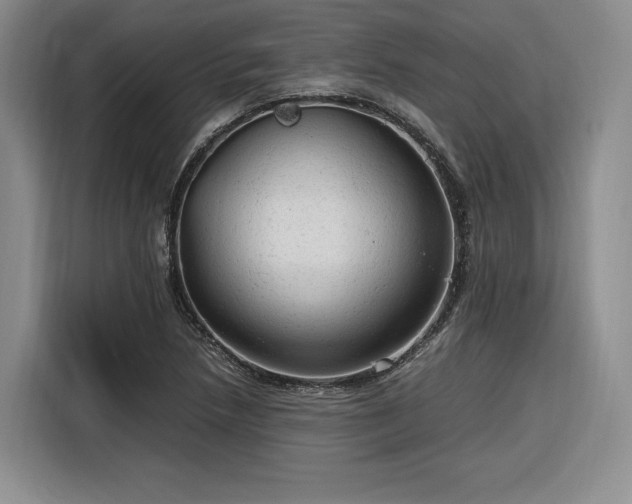 X0000116311218200912071302