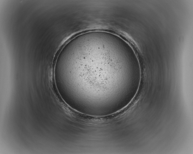 X0000116311220200912071302