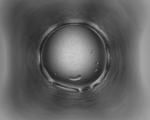 X0000116311221200912071302