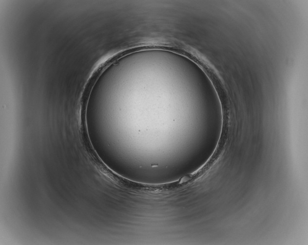 X0000116311222200912071302