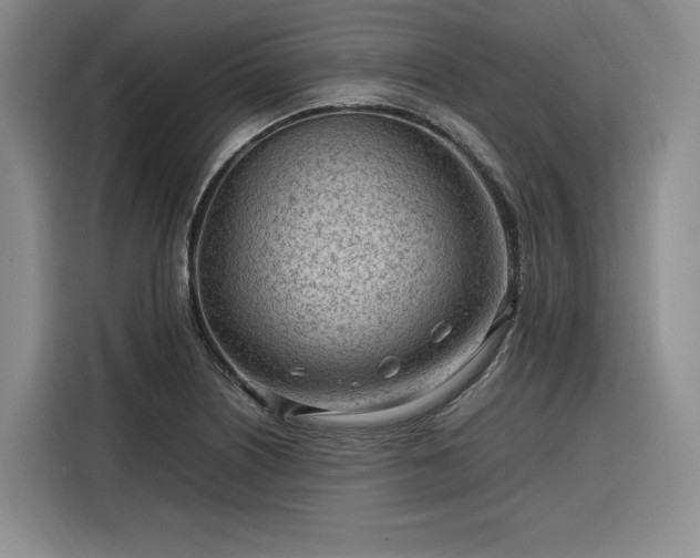 X0000116311226200912071302