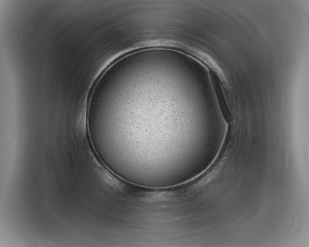 X0000116311228200912071302