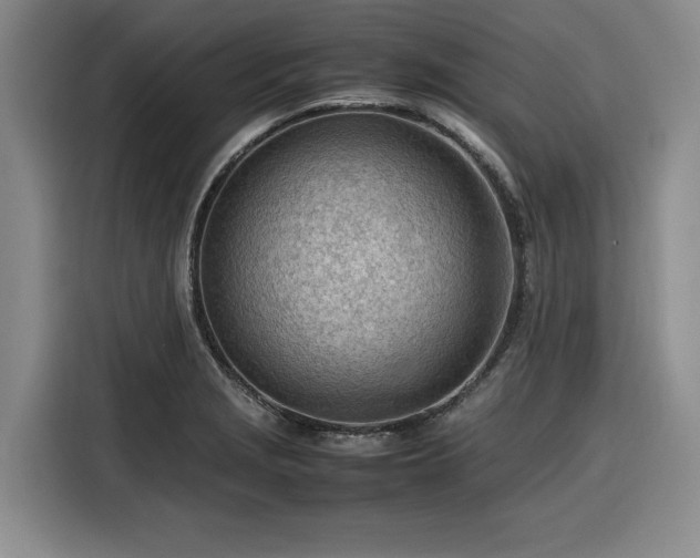 X0000116311229200912071302