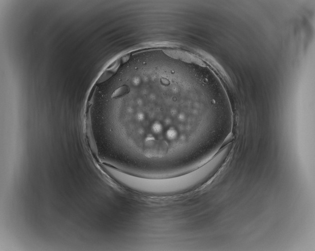 X0000116311236200912071302