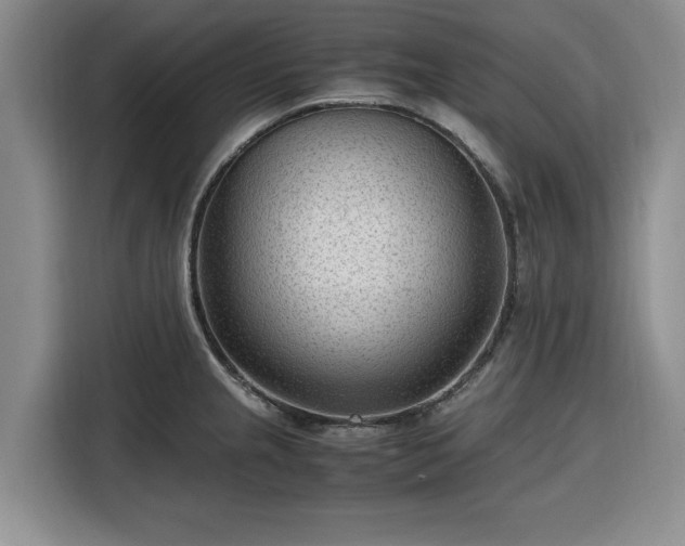 X0000116311237200912071302