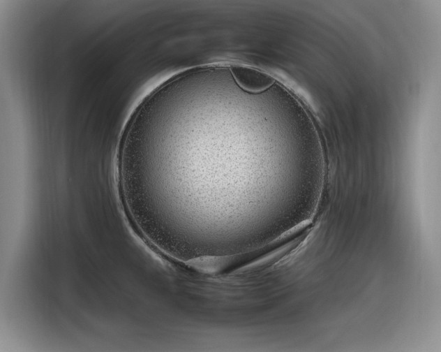 X0000116311239200912071302