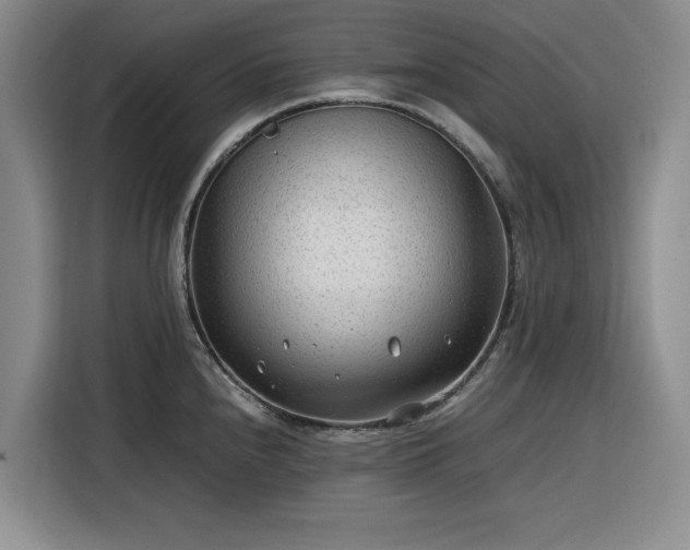 X0000116311240200912071302