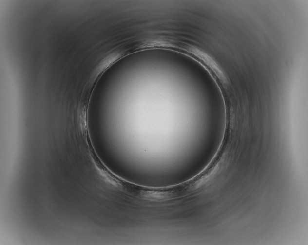 X0000116311241200912071302