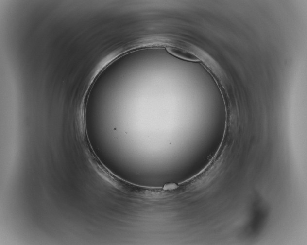 X0000116311242200912071302