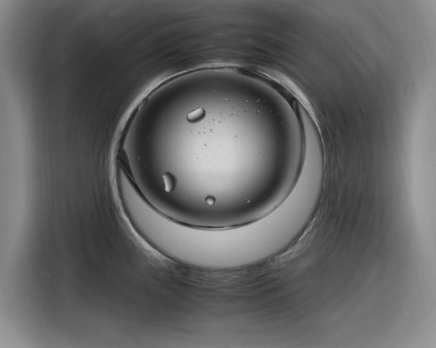 X0000116311243200912071302