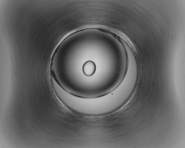 X0000116311244200912071302