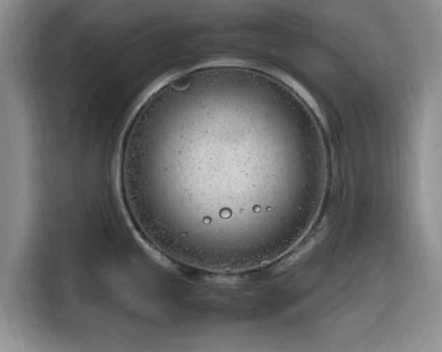 X0000116311245200912071302