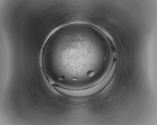 X0000116311246200912071302