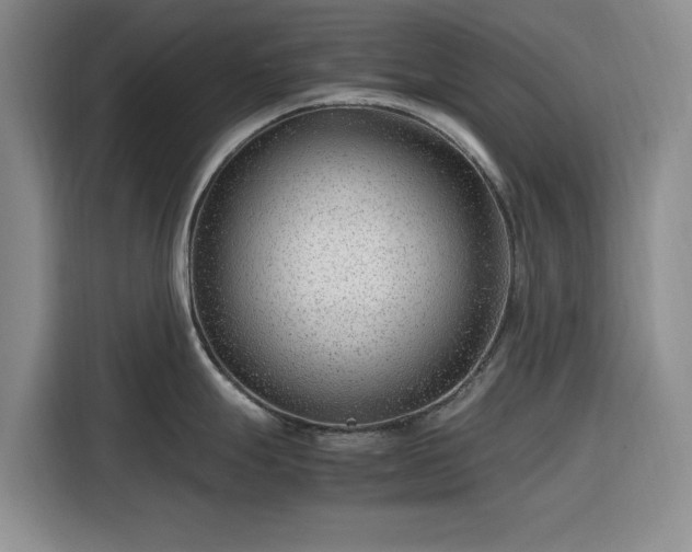 X0000116311247200912071302