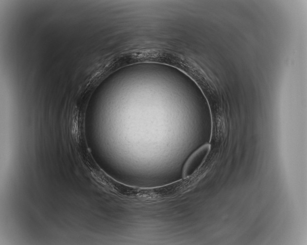 X0000116311250200912071301