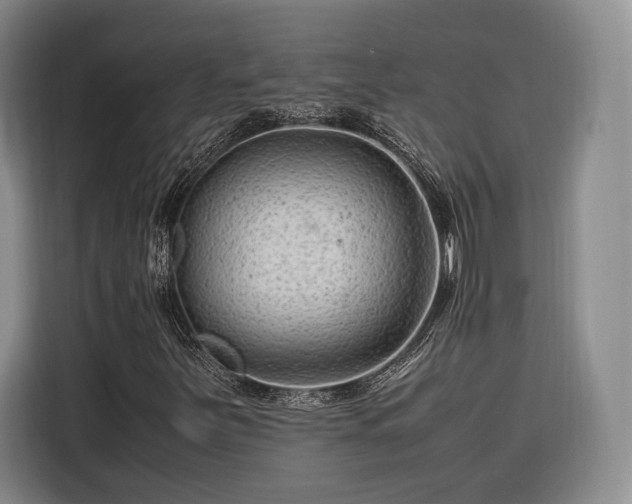 X0000116311251200912071301