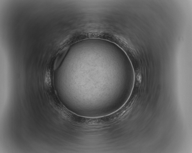 X0000116311252200912071301