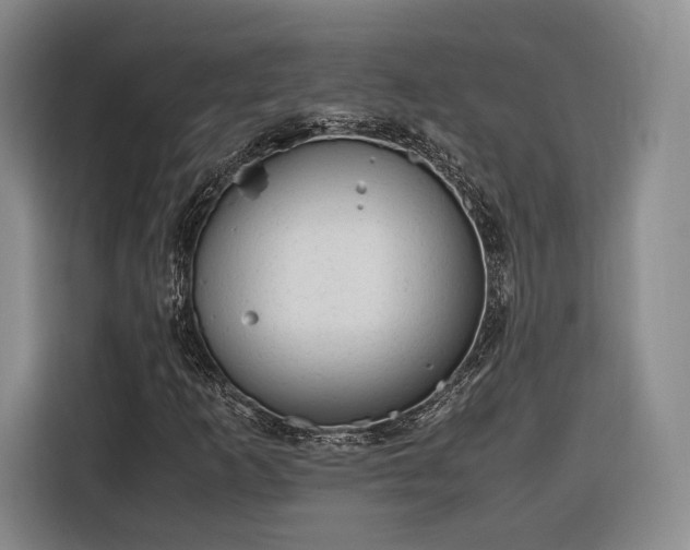 X0000116311253200912071301