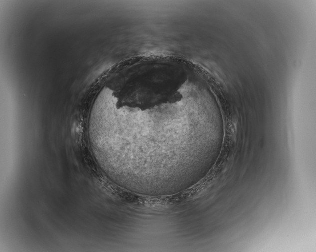 X0000116311254200912071301