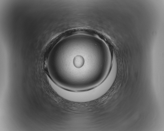 X0000116311255200912071301