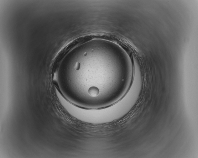 X0000116311256200912071301