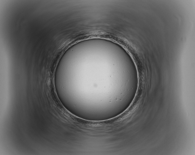 X0000116311257200912071301