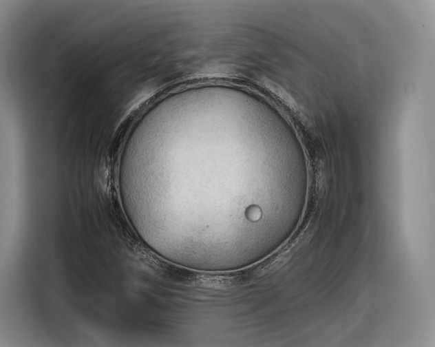 X0000116311258200912071301