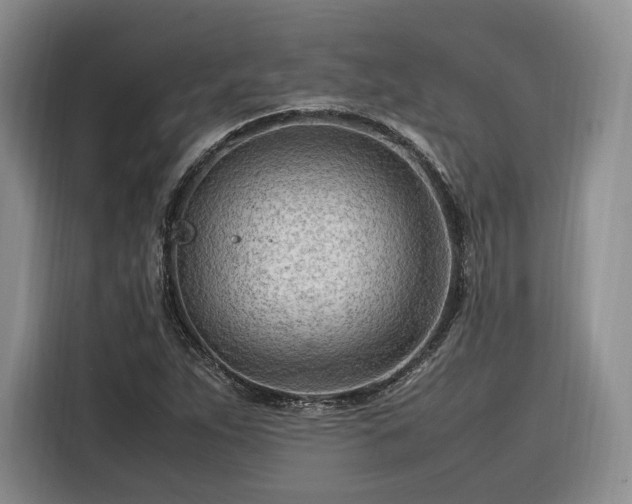 X0000116311263200912071301