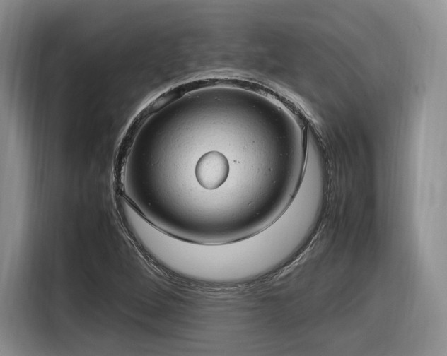 X0000116311264200912071301