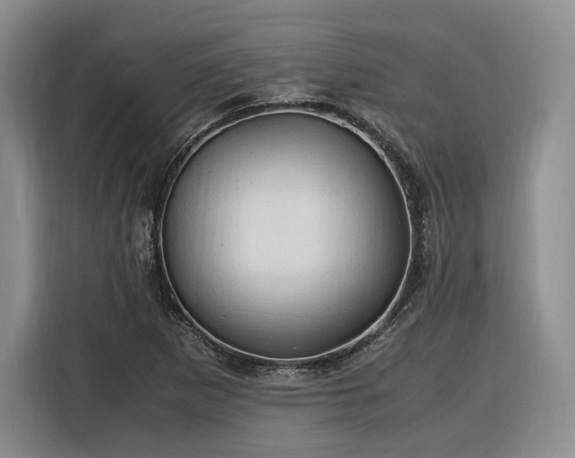 X0000116311265200912071301