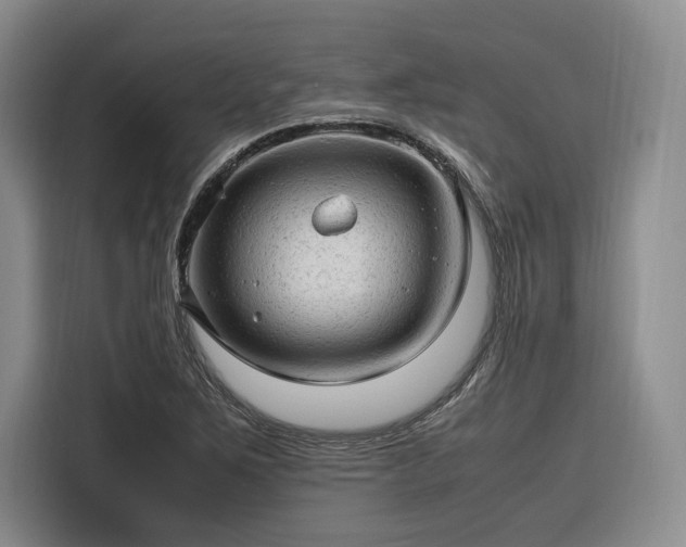 X0000116311267200912071301