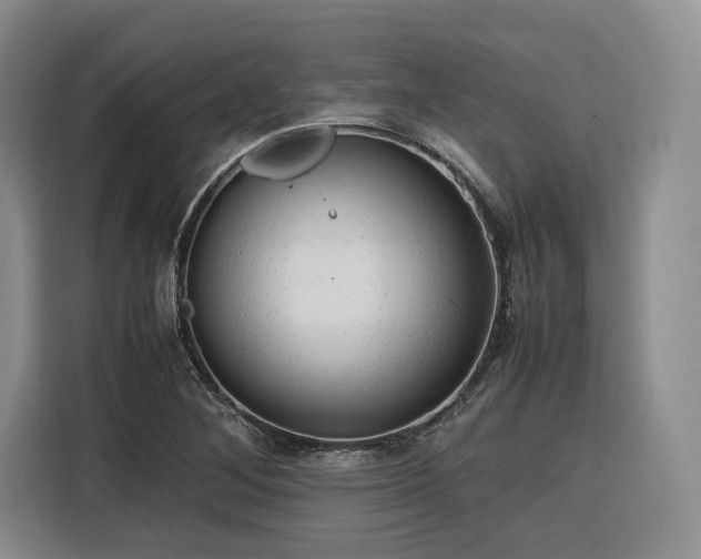 X0000116311268200912071301