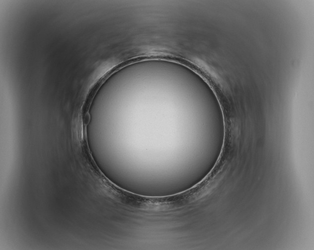 X0000116311269200912071301