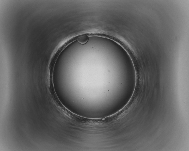 X0000116311270200912071301