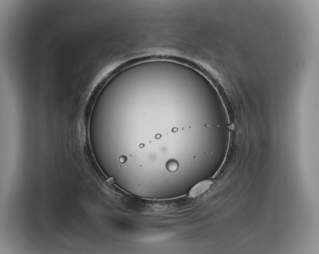 X0000116311271200912071301