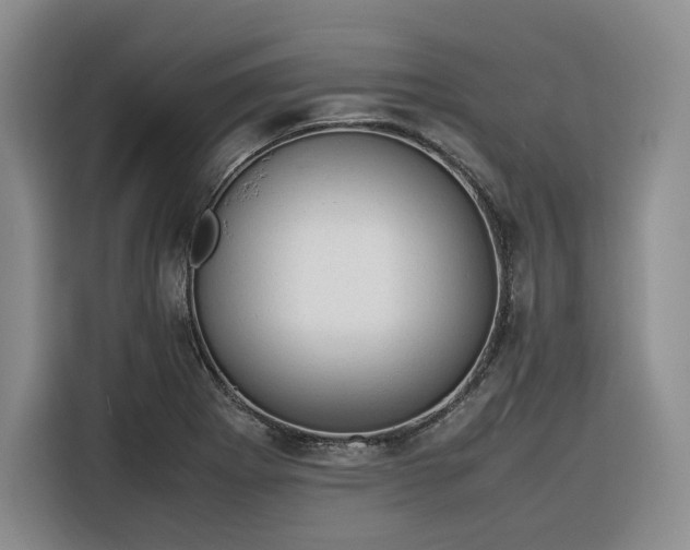 X0000116311273200912071301