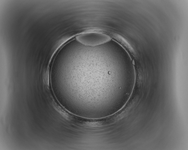 X0000116311276200912071301