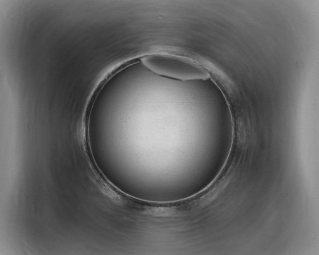 X0000116311280200912071301