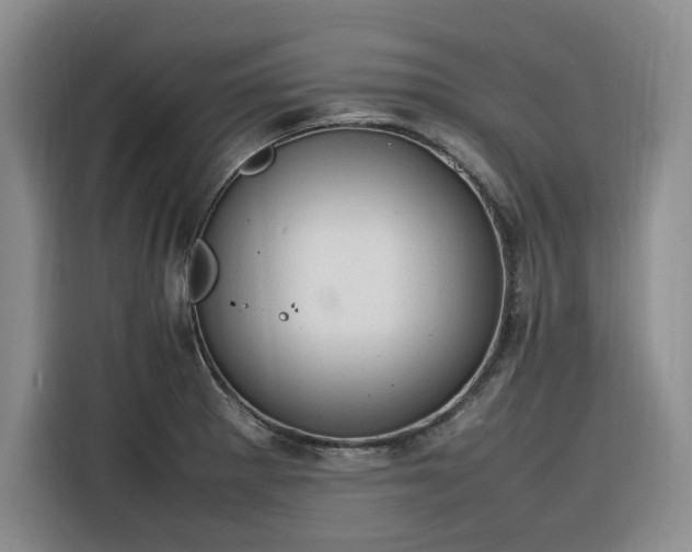 X0000116311281200912071301