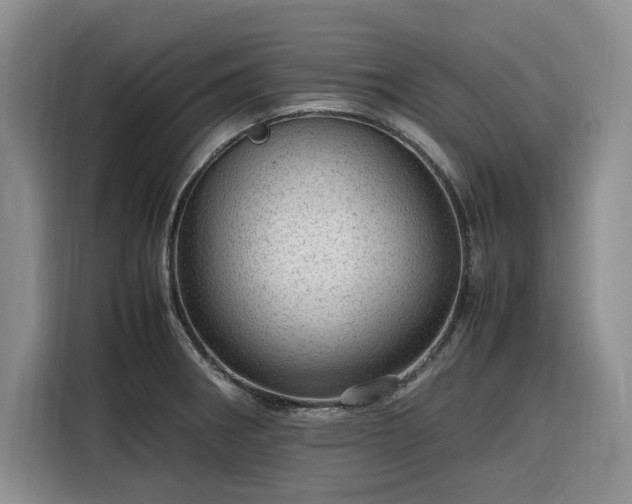 X0000116311282200912071301